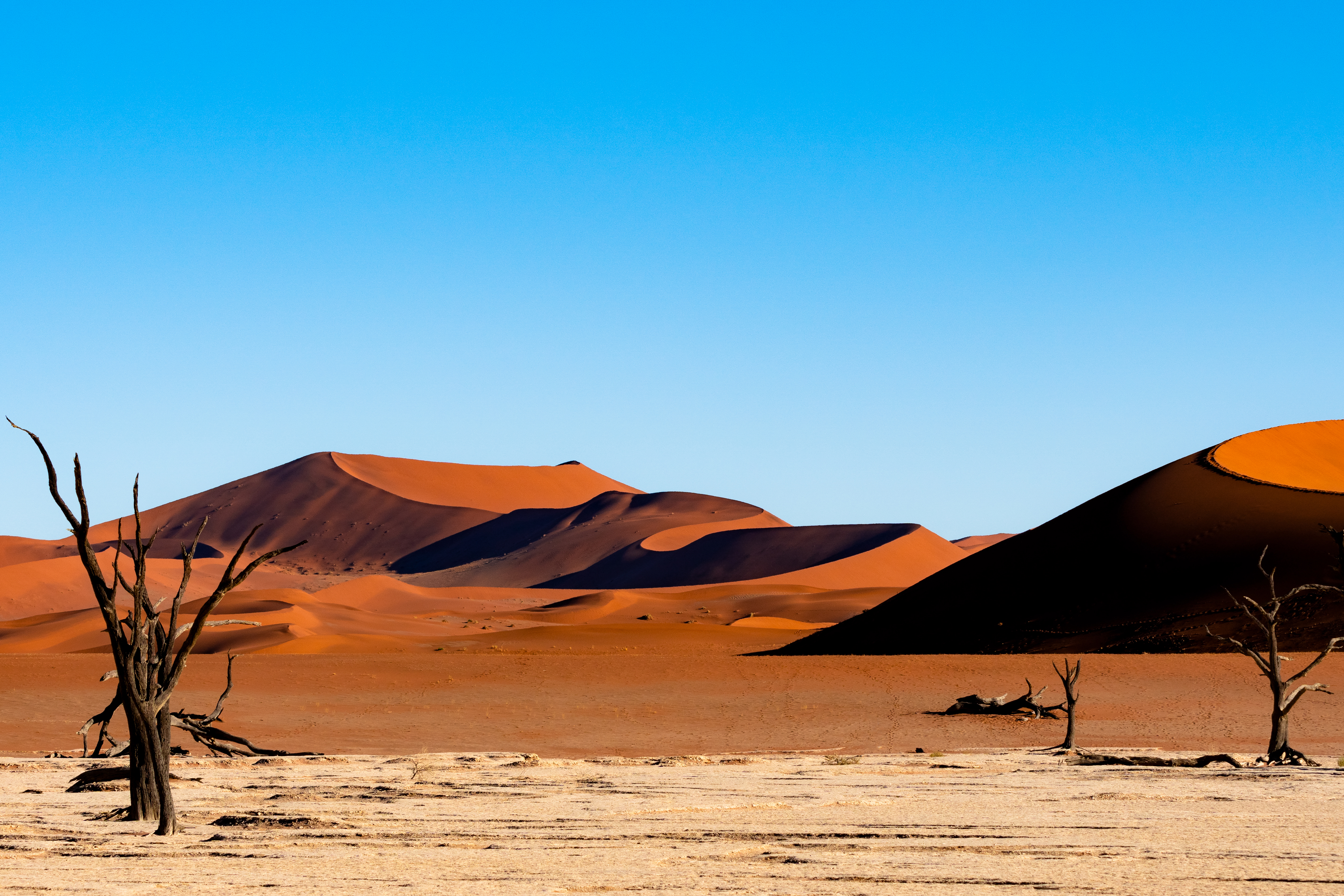 Deadvlei