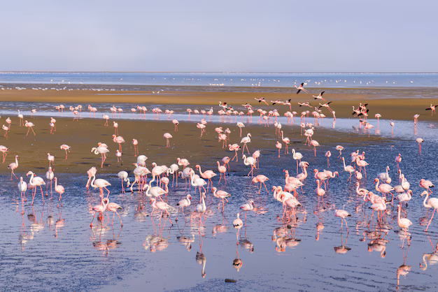 Walvis Bay