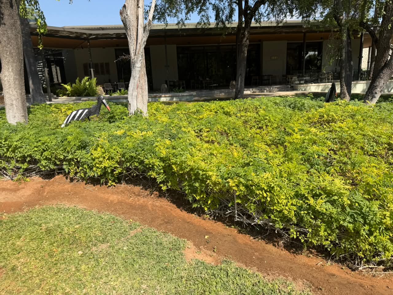 Mokuti Lush Grounds