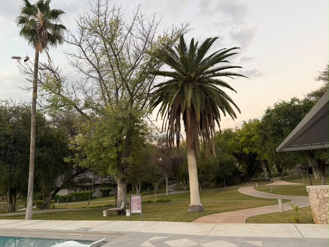 Mokuti Palm Gardens
