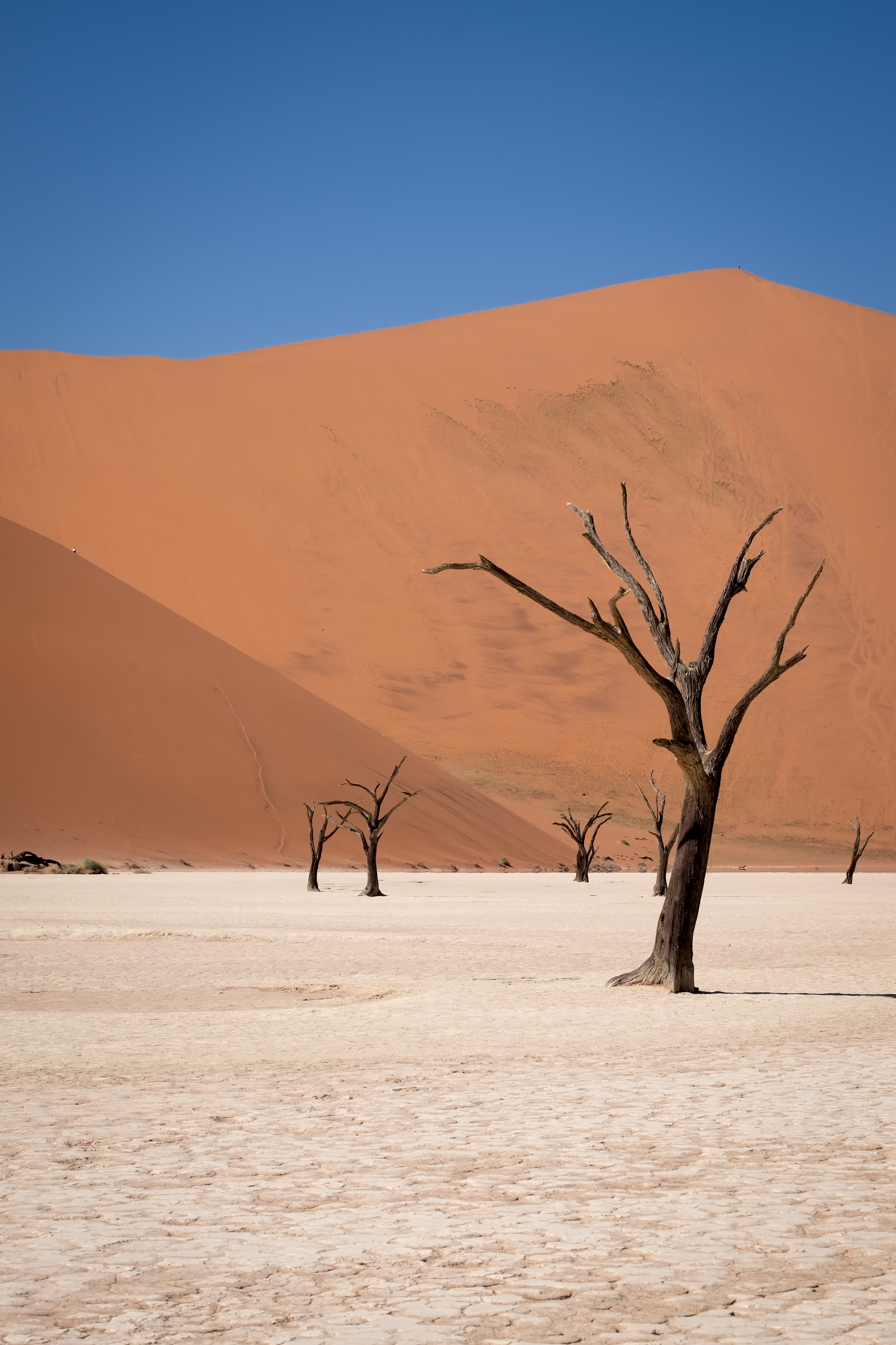 Sossusvlei, Namibia