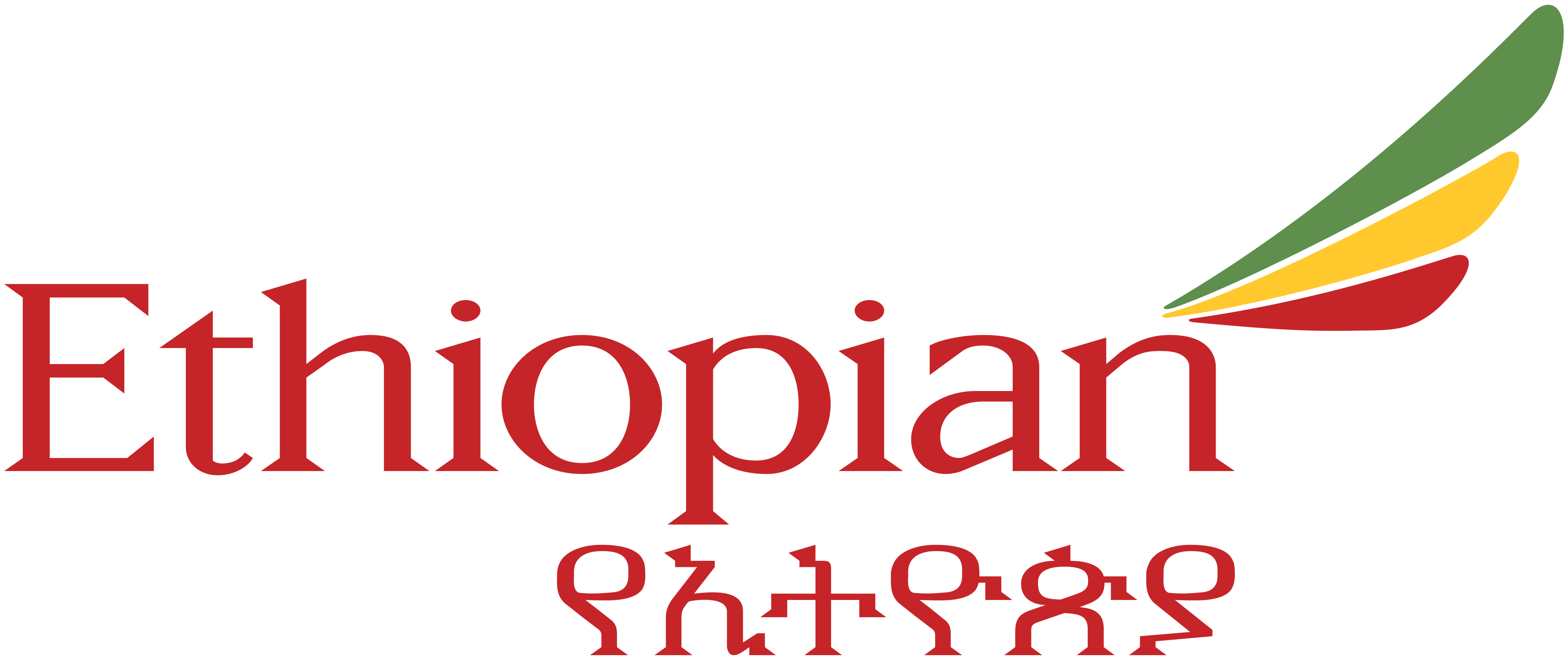 Ethiopian Airlines logo