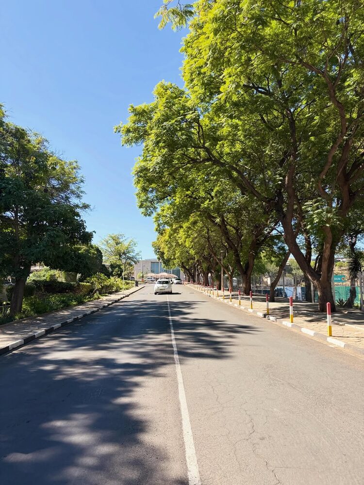 City avenues, Windhoek
